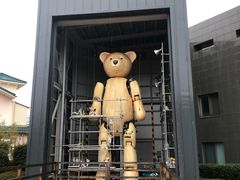 -济州岛泰迪熊博物馆