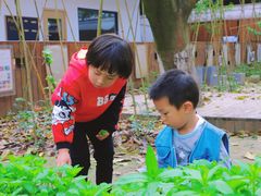 -斯坦丁国际幼稚园(驿都校区)