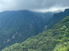 -牛背梁国家森林公园