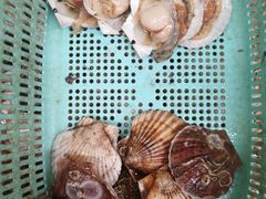 -青石桥市场北1-27号