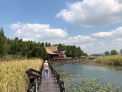 -太湖湖滨国家湿地公园-停车场