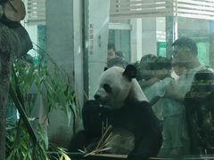 -成都动物园
