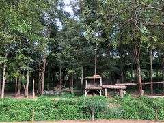 -清迈夜间动物园