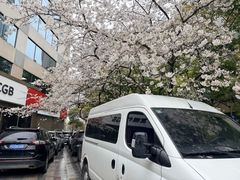 -玛格萝妮比萨屋(四平店)