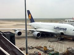 -德国汉莎航空公司