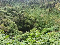-海口火山口国家地质公园