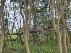 -宁波野生动物园