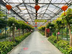 -南宫五洲植物乐园