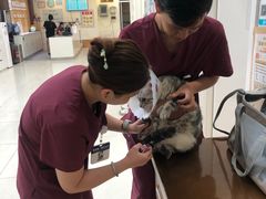 -美联众合动物医院·24h京西诊疗中心