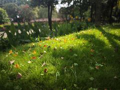 -西山人家·二十年老字号农家菜(旺山店)