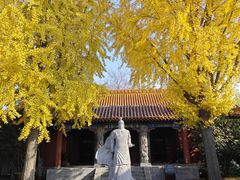 -戏马台景区
