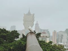 -澳门十六浦索菲特大酒店
