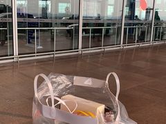 -乐天免税店(明洞店)