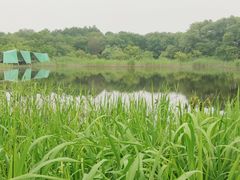 -西湖风景区-江洋畈生态公园