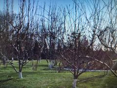 -春晖园度假酒店温泉