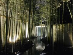 -穹六人间 people 6(岳阳路店)