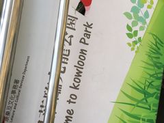 -九龙公园