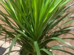 -洛阳宴·洛阳菜(南昌路店)