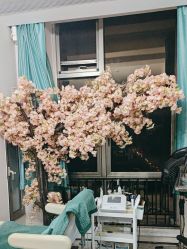 -黑奥秘脱发白发中心