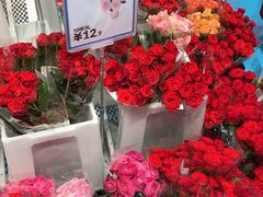 -盒马X会员店(上海森兰商都店)
