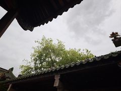 -凤凰山公园-龙王古庙