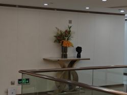 -广州曙光医学美容医院