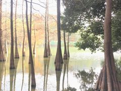 -广州市白云山风景名胜区