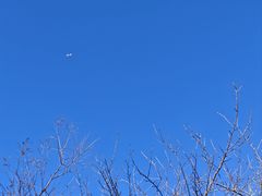 -北京鹫峰国家森林公园