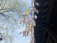 -老门东历史文化街区