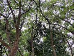 -杭州植物园