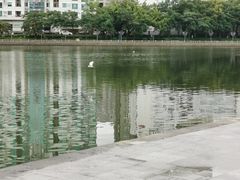 -白鹭洲公园