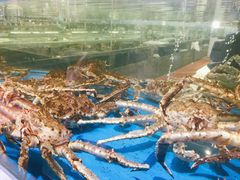 -神洲四海大酒楼(王府井澳门中心店)