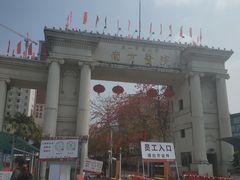 -南方医科大学南方医院(院本部)