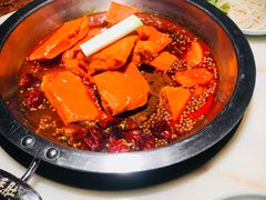 -孙毛肚火锅(春熙路店)
