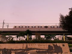 -宝安西湾红树林湿地公园