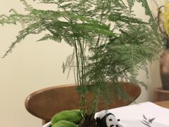 -小茶闲舍·观景商务茶馆(广州塔店)