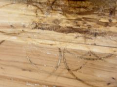 -海口滨海新村143号海南老字号炒菜店