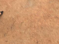-真情鲍鱼海鲜汤