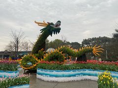 -南山植物园