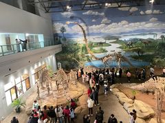 -自贡恐龙博物馆