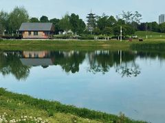 -洋湖国家湿地公园