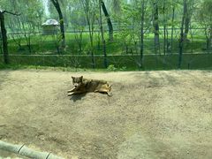 -北京野生动物园