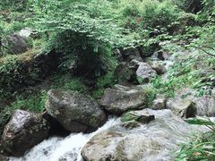 -藏龙百瀑风景区