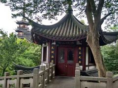 -上海佘山国家森林公园西佘山园