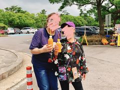 -柱状节理带
