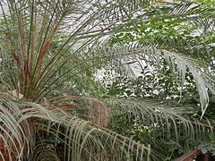 -金稼园·金平湖农家菜