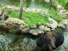 -北京野生动物园