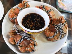 -呼吸森林·生态农庄农家乐私房菜