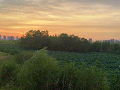 -艾溪湖湿地公园