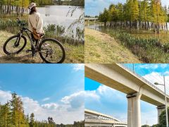 -白鹭湾湿地公园